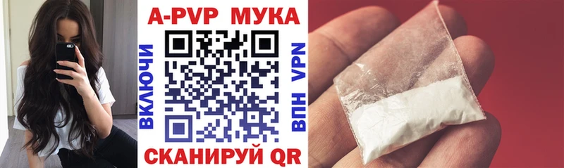 Альфа ПВП СК КРИС  Зеленоградск 