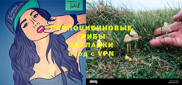 2c-b Вяземский