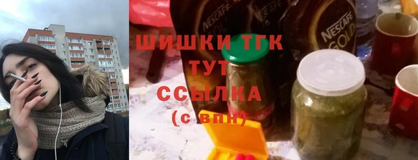 ешки Горняк