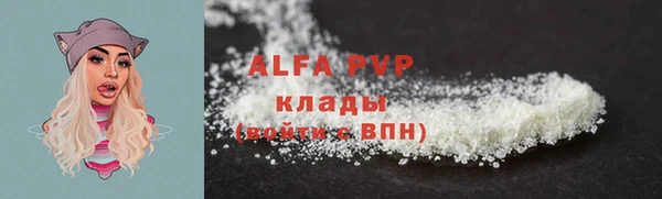 ешки Горняк