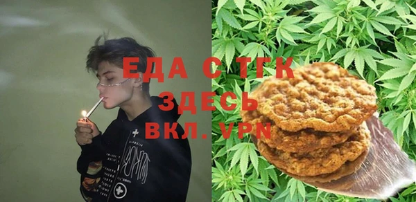 ешки Горняк