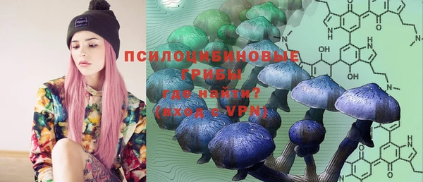 ешки Горняк