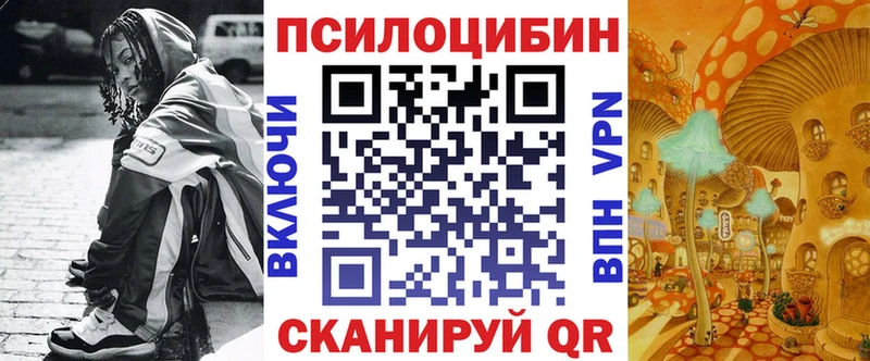 Галлюциногенные грибы Psilocybe  наркота  Зеленоградск 
